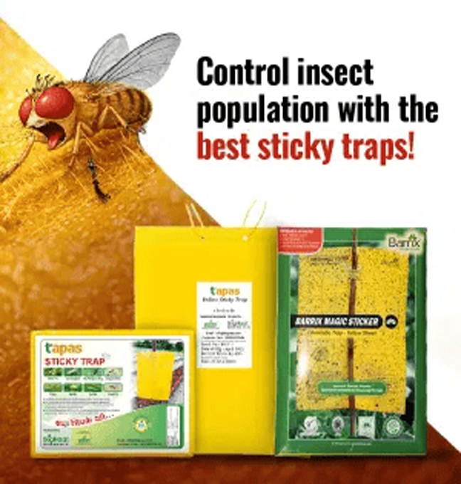 offer product