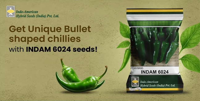 offer product