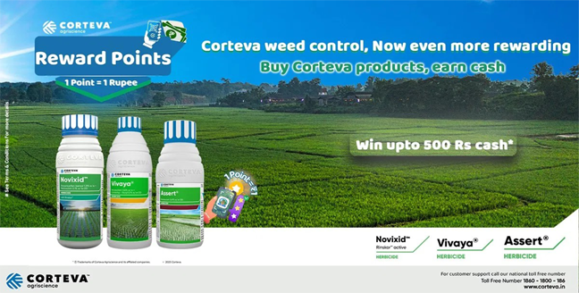 offer product